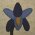 Spring Flowers
