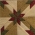Hunter's Star